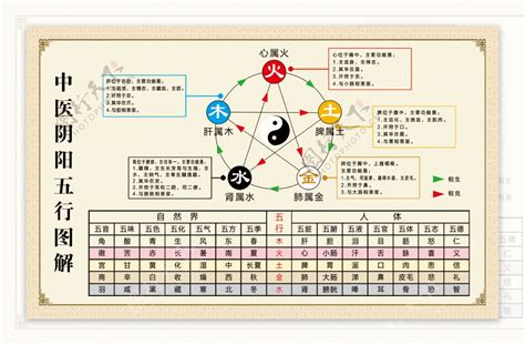 泽的五行|阴阳五行之土元篇（泽）